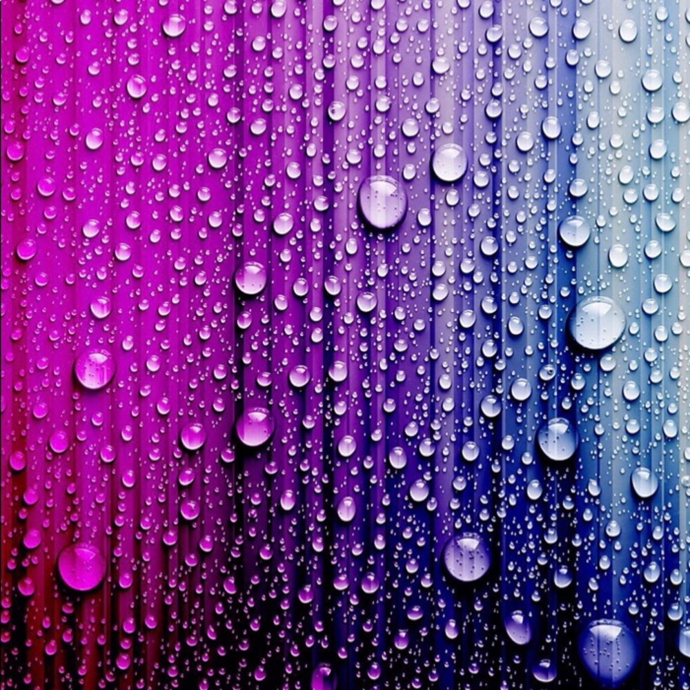 Meet your Posher, Karcee